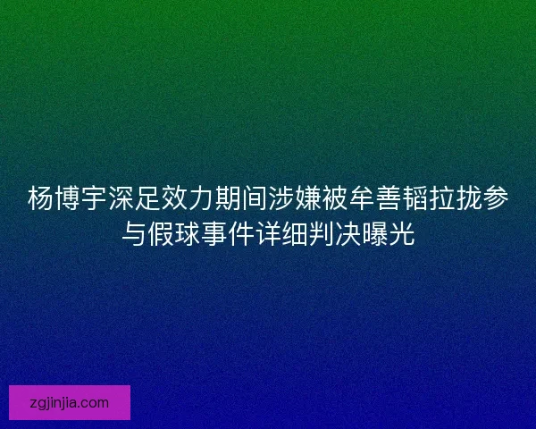 杨博宇深足效力期间涉嫌被牟善韬拉拢参与假球事件详细判决曝光
