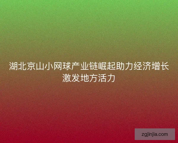 湖北京山小网球产业链崛起助力经济增长激发地方活力